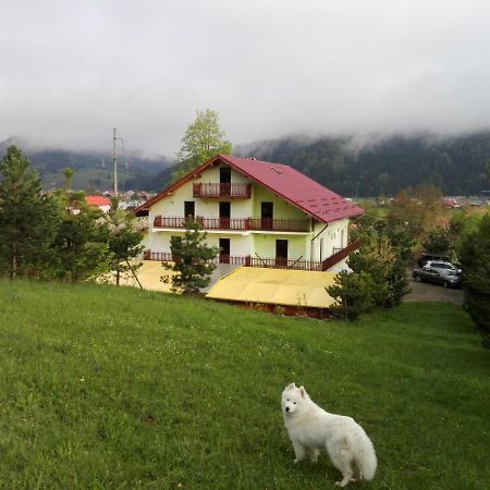 Grandemi Belvedere Bucovina Frasin Exterior foto